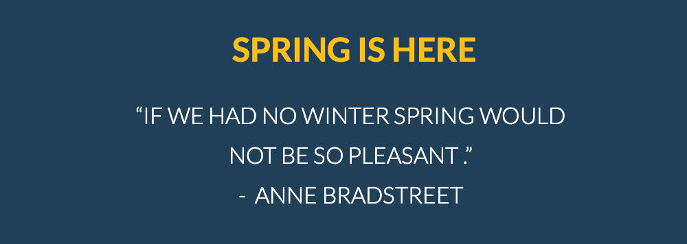 Spring-Quote